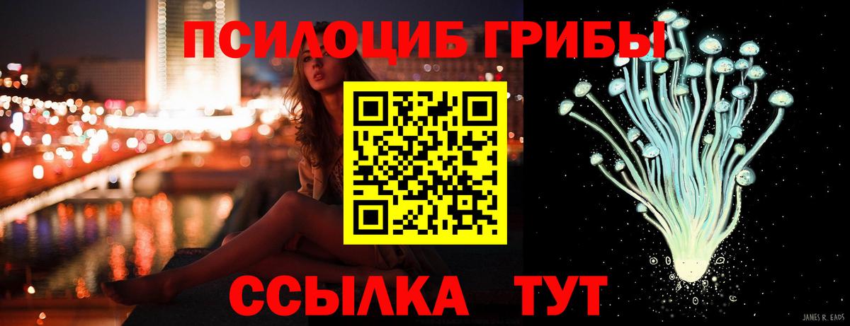 Ишим  Галлюциногенные грибы Psilocybe  Вход с VPN 