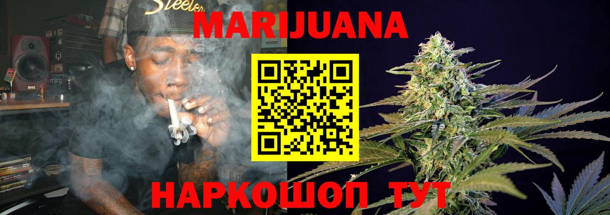 Каннабис индика Ишим