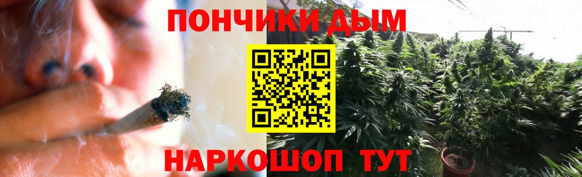 Ишим  Бошки Шишки VHQ  Шишки марихуана тримм  Канабис семена  МАРИХУАНА индика  Вход с VPN 